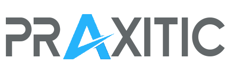 logo praxitic plomo
